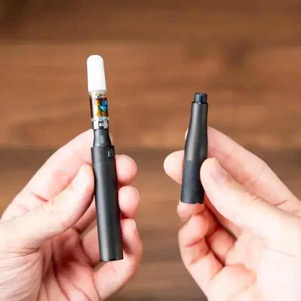 Puffco Plus V 2.0 – Vaporizador de Concentrados